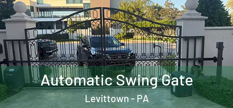 Automatic Swing Gate Levittown - PA