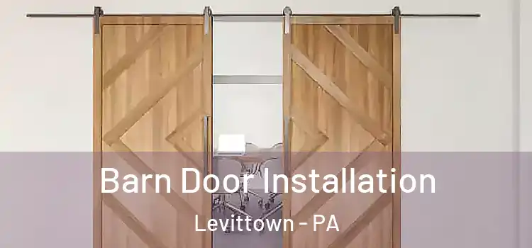 Barn Door Installation Levittown - PA
