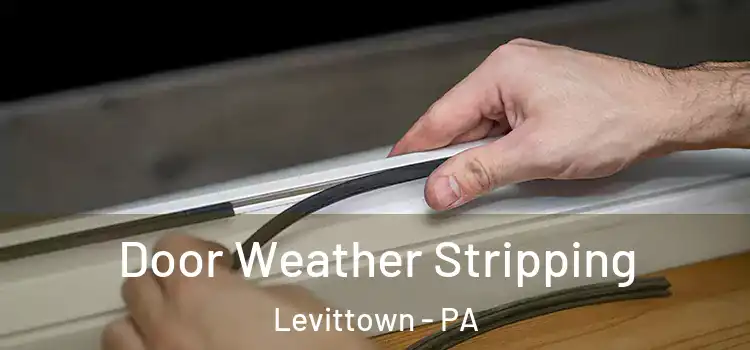  Door Weather Stripping Levittown - PA