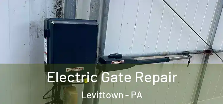  Electric Gate Repair Levittown - PA