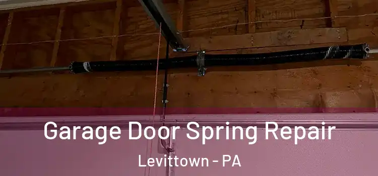  Garage Door Spring Repair Levittown - PA