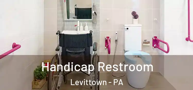 Handicap Restroom Levittown - PA