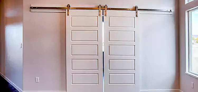Glass Barn Door with Installation Hardware Kit Levittown