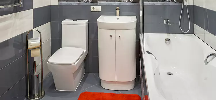 Hansgrohe Shaving Mirror Levittown