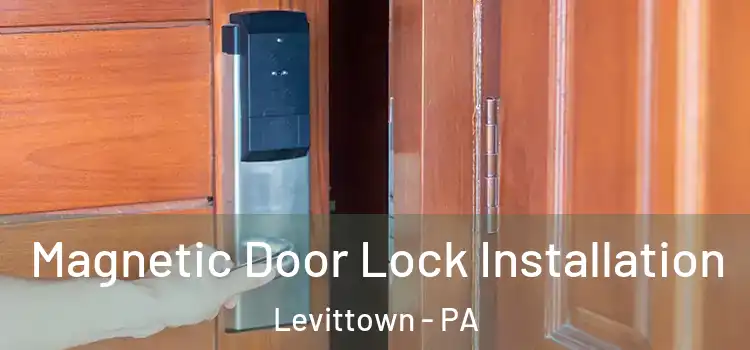  Magnetic Door Lock Installation Levittown - PA