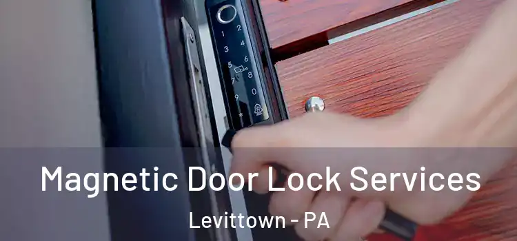 Magnetic Door Lock Services Levittown - PA