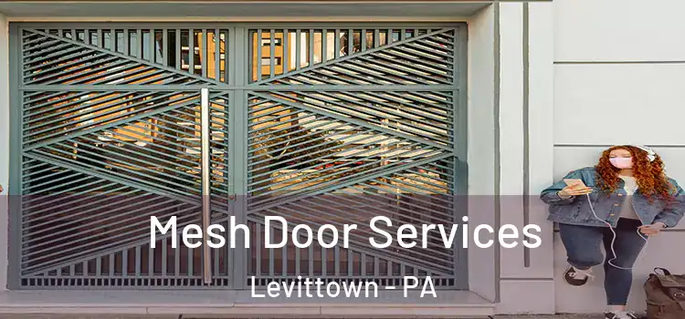 Mesh Door Services Levittown - PA