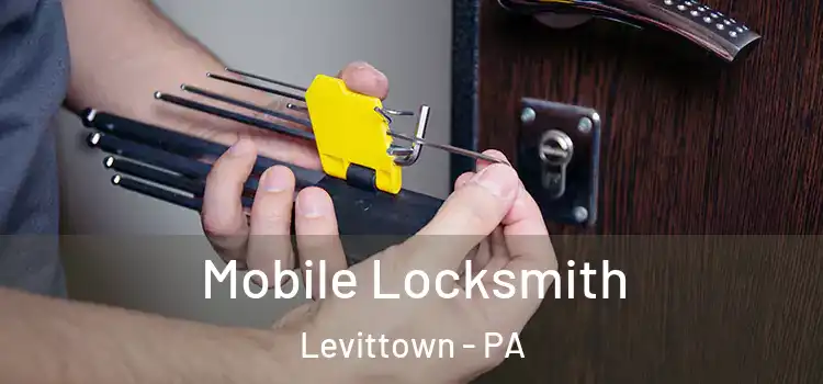 Mobile Locksmith Levittown - PA