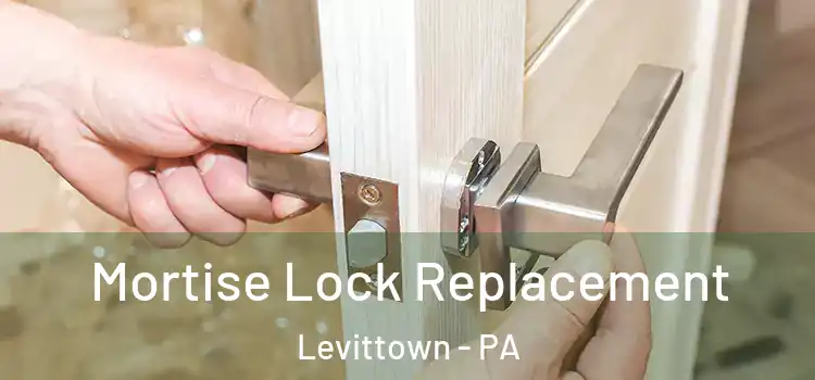 Mortise Lock Replacement Levittown - PA
