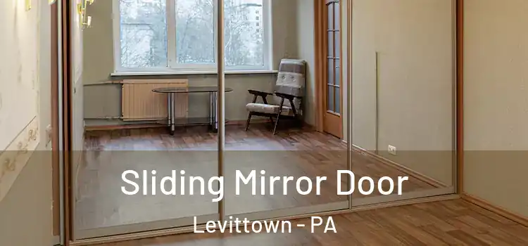  Sliding Mirror Door Levittown - PA